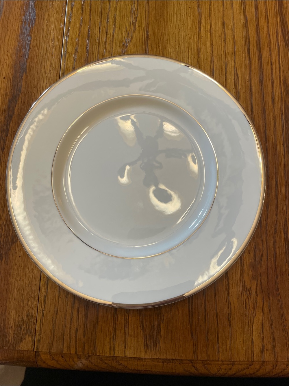 Mikasa Ultima + HK-301 CAMEO PLATINUM Salad Plate